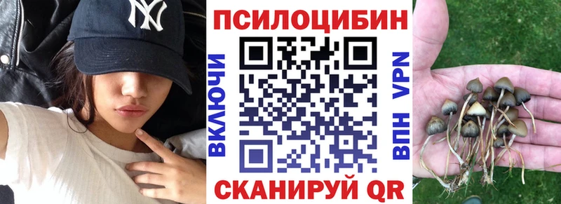 где продают   Чайковский  МЕГА ссылки  Галлюциногенные грибы Magic Shrooms 